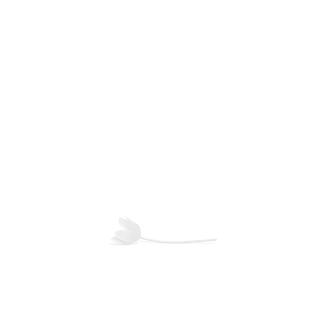 Lorbeerkranz der Sky Blaue Blume Nominierung aus dem Jahr 2018.