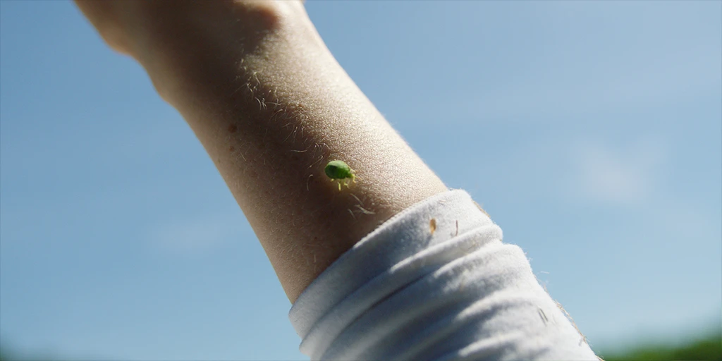 Der Unterarm der Astronautin (Odine Johne) bildet sich vor einem blauen Sommerhimmel ab. Ein grüner Käfer bahnt sich seinen Weg über ihren Unterarm im Spielfilm »Im Meer der Stille«.