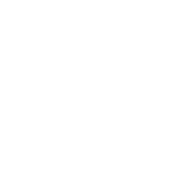 »Auster« lief auf dem Student Wold Impact Film Festival